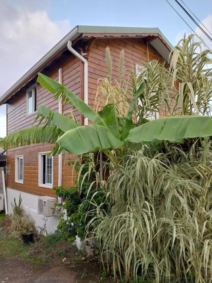 Le Cosy Bungalow De Lili / 5Min De L'Aeroport Les Abymes Luaran gambar